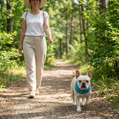 Cooling Collar for Dogs | Breathable & Instant Cooling Summer