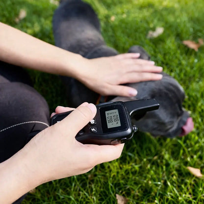 Dog Collar | Training & Anti-Bark Training with Vibration & Sound