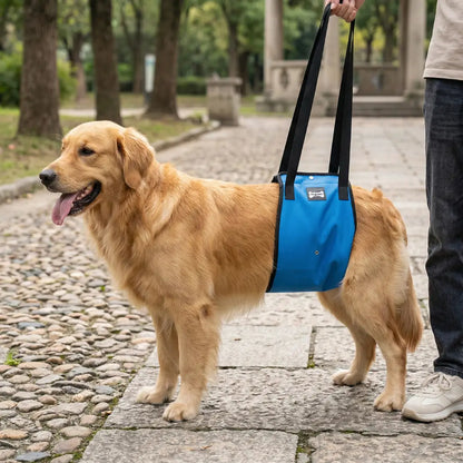 Hundetragehilfe für Hunde | Hebehilfe Hinterbeine Support