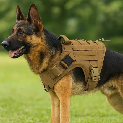 Dog harness with handle | Stable, comfortable, and suitable for outdoor use