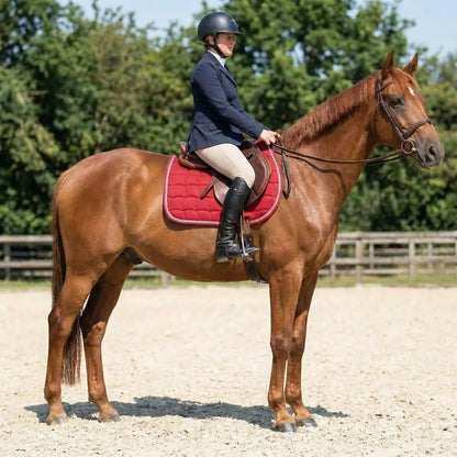 Pferd Sattelunterlage Reiten | Druckentlastend