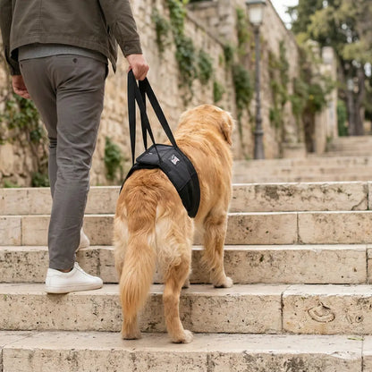 Hundetragehilfe für Hunde | Hebehilfe Hinterbeine Support