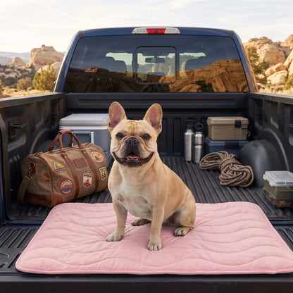 Couverture rafraîchissante pour chien | Lavable, respirante et légère