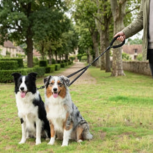 2-in-1 Dog Leash for 2 Dogs | Tangle-Free Double Leash