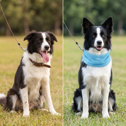 Cooling Collar for Dogs | Breathable & Instant Cooling Summer