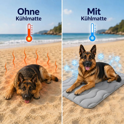 Couverture rafraîchissante pour chien | Lavable, respirante et légère