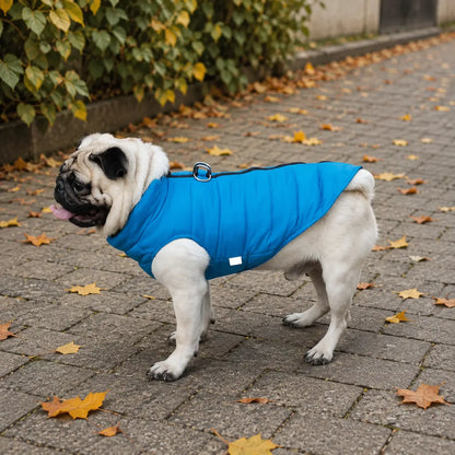 hundemantel_Winter_Warm Lifestyle-Bild
