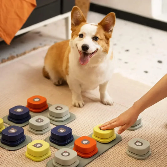 BarkBuddy – Die sprechenden Lernknöpfe für Hunde, die mehr sagen wollen