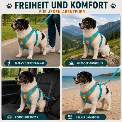 Hundegeschirr mit Leine | Reflektierendes No-Pull Brustgeschirr für Hunde