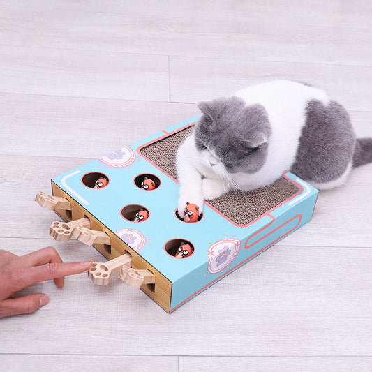 PlayPal – Die interaktive 3in1 Spielbox für Katzen