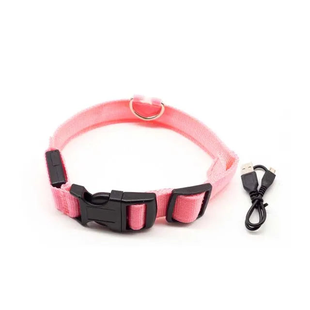 GlowSafe – Das leuchtende LED Halsband für sichere Spaziergänge