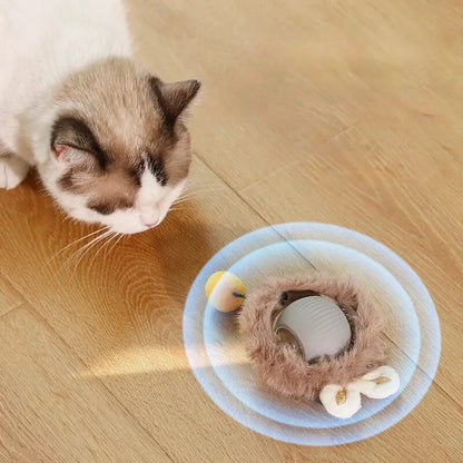 HuntBuddy Elektronischer Spielball für Katzen