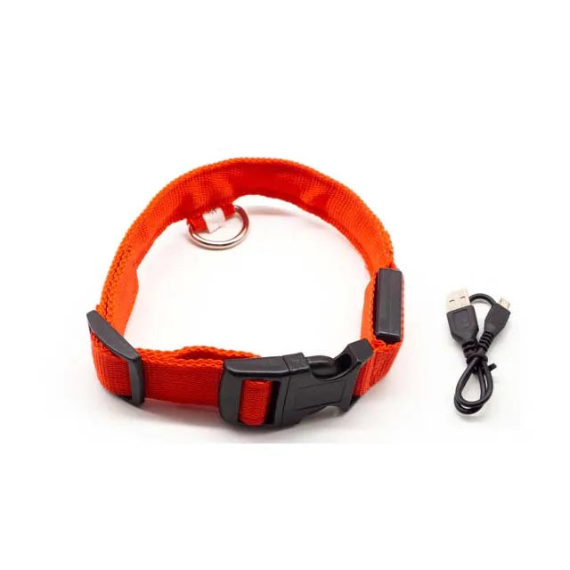 GlowSafe – Das leuchtende LED Halsband für sichere Spaziergänge