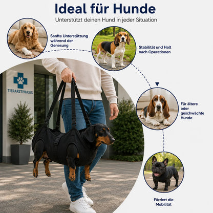 Hundetragehilfe bei Rückenproblemen | Hebegurt für kleine & mittlere Hunde