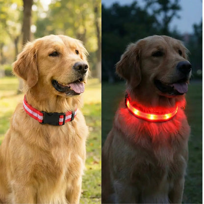 Collier lumineux LED pour chien | Lumière clignotante pour la nuit