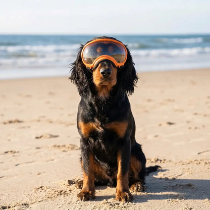 Schutzbrille mit UV Schutz | Winddicht & Verstellbar