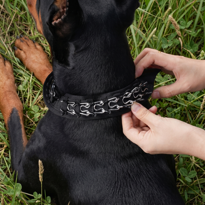 Anti-Pull Dog Collar | Gentle Control & Training