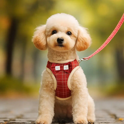 Harnais pour chien avec laisse | Ensemble confortable & élégant avec nœud